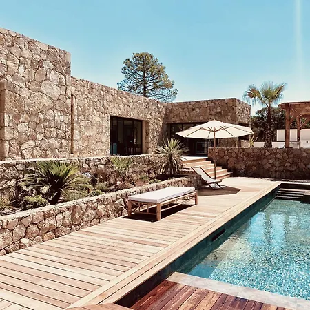 L'olivier By Intendance Excellency