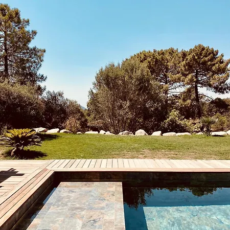 Villa L'olivier By Intendance Excellency Cirendinu